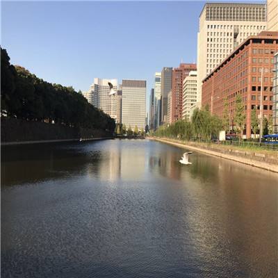 kok中欧登录入口手机app下载