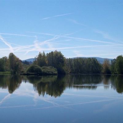 凤凰彩票APP下载