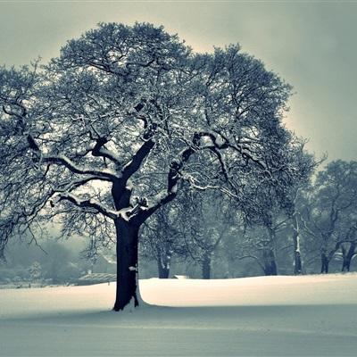 pg电子娱乐官网游戏