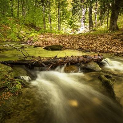 pg电子娱乐官网游戏