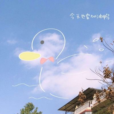 开云·体育(KYSports)