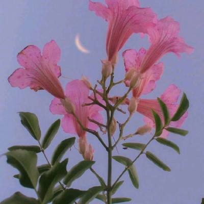 华体会登录手机版